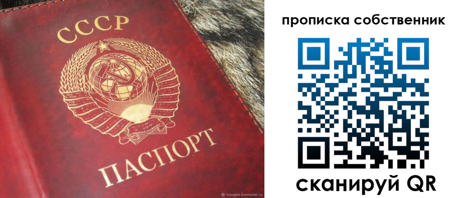 прописка в квартире в Новопавловске